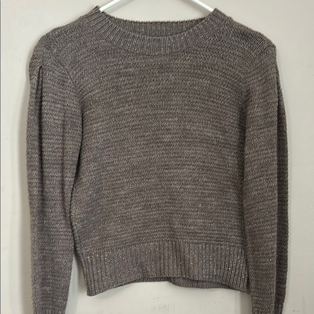 Express Classic Crew Neck Sweater in Gray and Purple